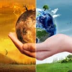 O que é Impacto Ambiental – Conceito e Exemplos