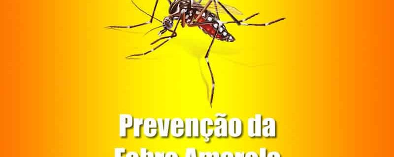 epidemia de febre amarela como combater como prevenir vacina porto alegre advento dedetizadora dedetização de mosquito
