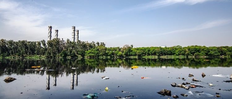 emergência ambiental o que é e quando pedir ajuda profissional porto alegre rio grande do sul