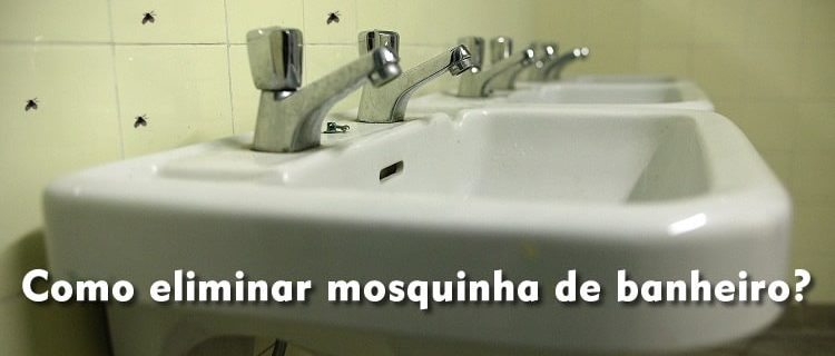 como eliminar mosquinha de banheiro