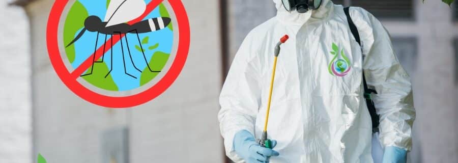 Porto Alegre enfrenta explosão de casos de dengue em 2025. Limpeza de calhas e dedetização ajudam a combater focos do Aedes aegypti.
